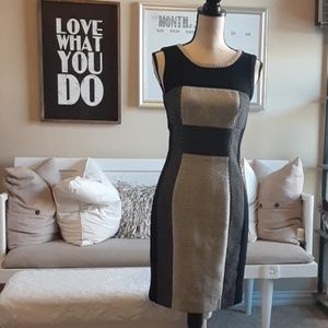 Yoana Baraschi Black and Cream Dotted Size (2)